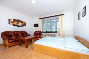 Apartmán Lískovecká