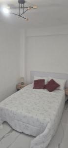 Renovated Studio Near Alicante City Center