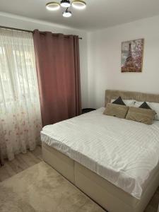 Montan apartment