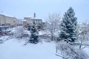 Explore The Springs! Family-Friendly Basement Unit