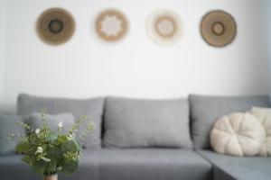Zaklin home 1