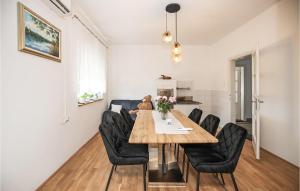 Gorgeous Home In Ferdinandovac With Wifi