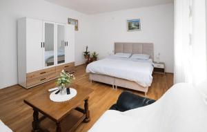 Gorgeous Home In Ferdinandovac With Wifi