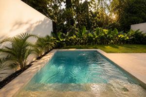Prana Palms