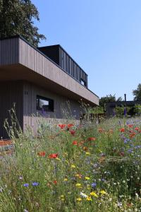 Nature Lake Village – Villa Homely n°24 – 8 personnes avec jacuzzi