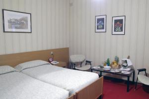 Single Room room in Hotel Margna