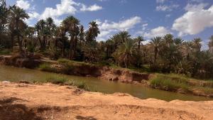 Bella suites taghit