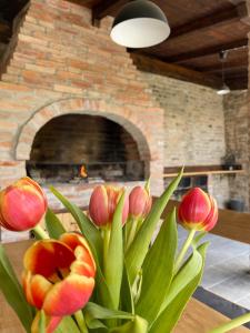 East Mountain Villa - Private Nature Retreat in Baranja