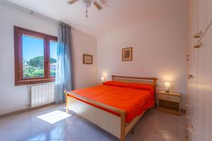 San Teodoro dream