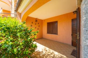 San Teodoro dream