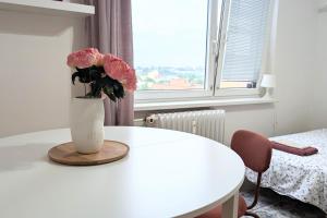 Panorama Apartment