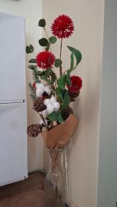 Boarder Madise Apartment