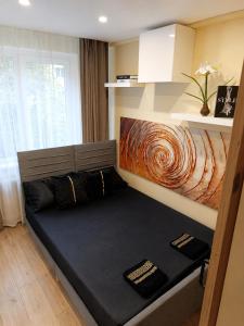 Ramybes Oaze, Nauji stylingi apartamentai