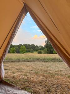 Glamping Fit in the wild