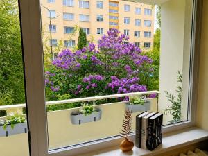 Ramybes Oaze, Nauji stylingi apartamentai