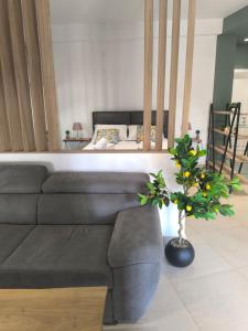 Summer Dream Escape Apartment