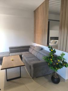 Summer Dream Escape Apartment