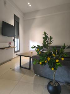 Summer Dream Escape Apartment