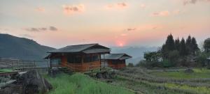 Tổ Ếch Homestay