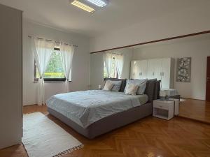 Surf Apartment