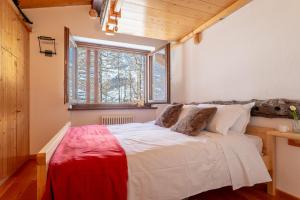 The Aimone - Historic Alpine Retreat