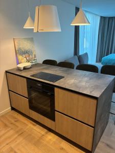 Vanagupės kopa 501