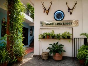 Sigiri Lion Lodge