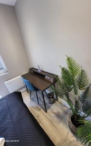 The Hub Studio, Solo Comfort, Shared Style