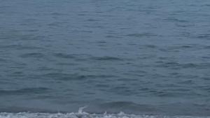 Paralia Katerini Olympiada 10
