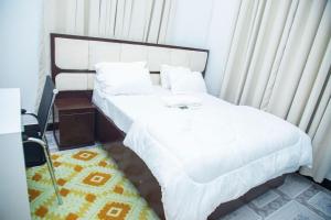 Prevail 1 BR apartment near Shoppers in Dodoma