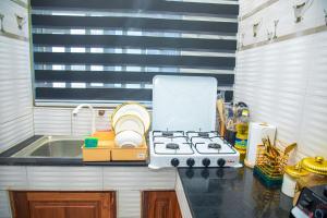 Prevail 1 BR apartment near Shoppers in Dodoma