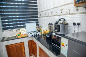 Prevail 1 BR apartment near Shoppers in Dodoma