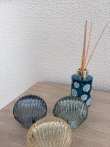 Écume Lumineux T2 pres de la plage