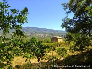 Les Maquinols Provence Villa, Mont Ventoux, Bédoin