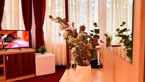 Acvila Villa - Private Retreat in the Quiet Hills of Sinaia