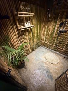 Cocoon De Coron