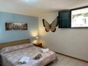 Appartamenti Magnolie-La pineta A SOLI 100 m DALLA SPIAGGIA