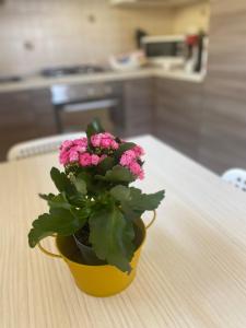 BOBO GUEST HOUSE PULA - private apartment