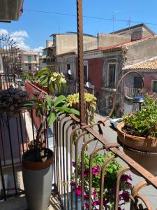 B&B Domus Candida