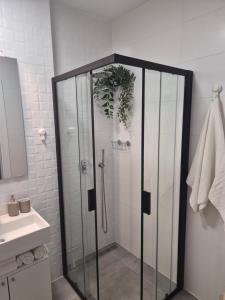 Apartment Lari