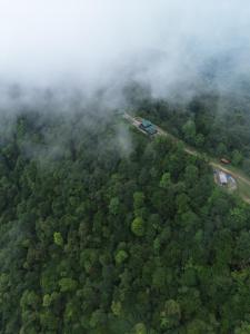 Chaya eco village