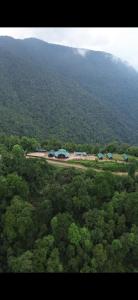 Chaya eco village