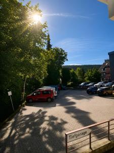 1 Zimmer App. Hahnenklee Bocksberg