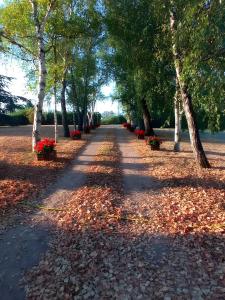 Entre Brionnais Et Bourbonnais