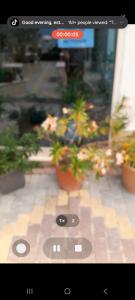 Apartament Plazhi