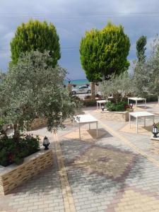 Apartament Plazhi