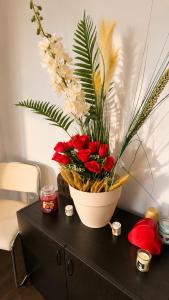 TANTRA Studio 6 Queen Filipescu Self Check-in Near Old Town