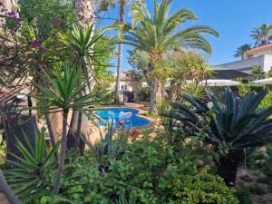 Riumar "Pedro", 270m to beach, private pool, On-Site-Service, dog beach