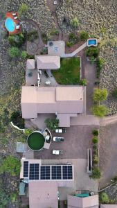 Boscia African Farm