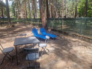 Appartamento LA MARMOTTA